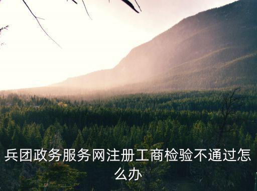 兵團政務服務網注冊工商檢驗不通過怎么辦
