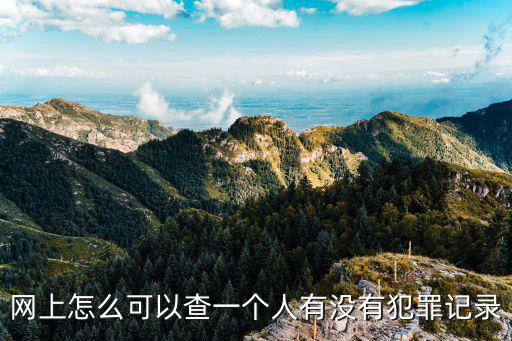 網上怎么可以查一個人有沒有犯罪記錄