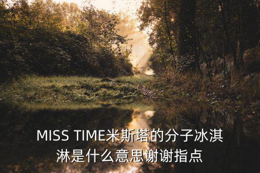 MISS TIME米斯塔的分子冰淇淋是什么意思謝謝指點