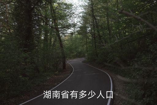 湖南省有多少人口