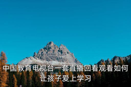 中國教育電視臺一套直播回看觀看如何讓孩子愛上學習