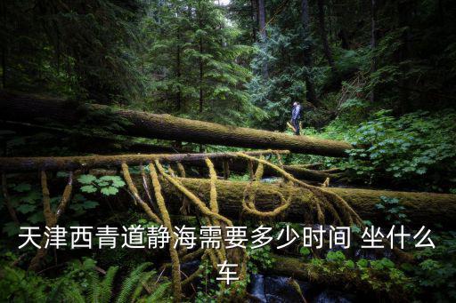 天津西青道靜海需要多少時間 坐什么車