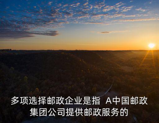 多項選擇郵政企業是指  A中國郵政集團公司提供郵政服務的