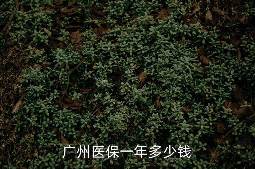 廣州醫保一年多少錢