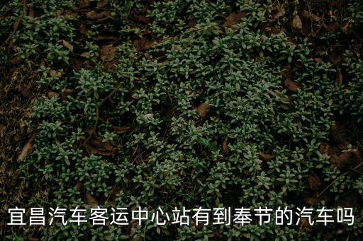 宜昌汽車客運中心站有到奉節的汽車嗎