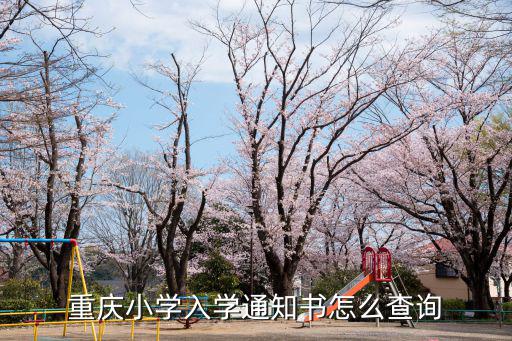 小學錄取通知書查詢，怎么查看小孩的錄取通知書