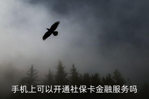 手機上可以開通社保卡金融服務嗎