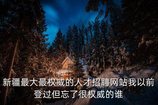 新疆最大最權威的人才招聘網(wǎng)站我以前登過但忘了很權威的誰