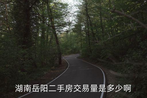 岳陽房產信息網，湖南岳陽二手房交易量是多少啊