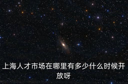 上海人才市場(chǎng)在哪里有多少什么時(shí)候開(kāi)放呀