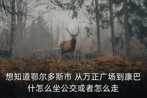 萬正廣場，想知道鄂爾多斯市 從萬正廣場到康巴什怎么坐公交或者怎么走
