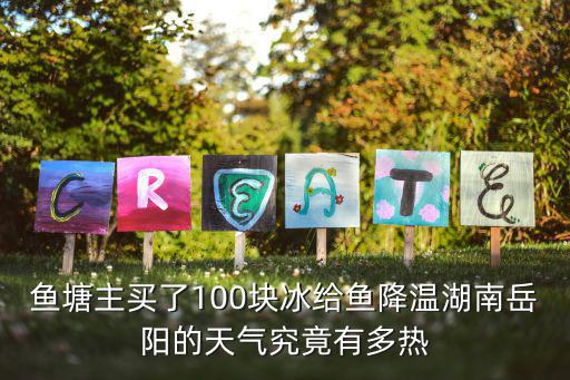 魚塘主買了100塊冰給魚降溫湖南岳陽的天氣究竟有多熱