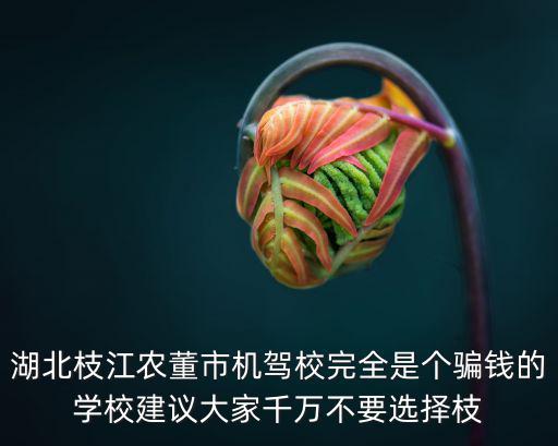 湖北枝江農董市機駕校完全是個騙錢的學校建議大家千萬不要選擇枝