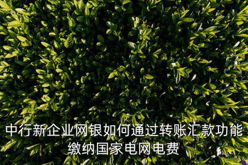 中行新企業(yè)網(wǎng)銀如何通過轉(zhuǎn)賬匯款功能繳納國(guó)家電網(wǎng)電費(fèi)