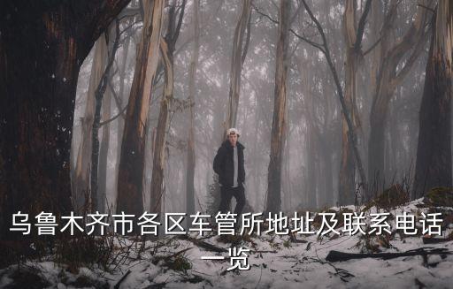 烏魯木齊車管所，烏魯木齊的車輛運(yùn)輸管理所在哪里