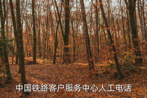 中國鐵路客戶服務中心人工電話