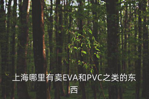 上海哪里有賣EVA和PVC之類的東西