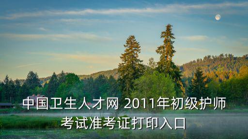 中國衛生人才網 2011年初級護師考試準考證打印入口