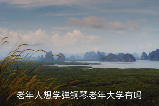 老年人想學彈鋼琴老年大學有嗎