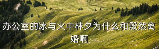 辦公室的冰與火中林夕為什么和殷然離婚啊