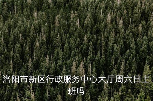 洛陽市新區(qū)行政服務(wù)中心大廳周六日上班嗎