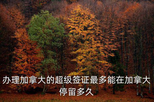 辦理加拿大的超級簽證最多能在加拿大停留多久