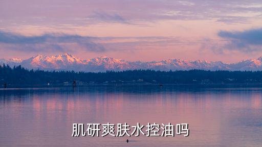 肌研爽膚水控油嗎