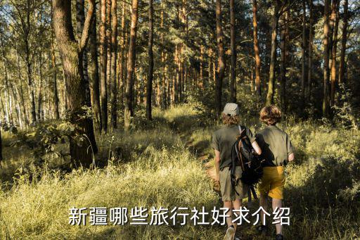 新疆哪些旅行社好求介紹