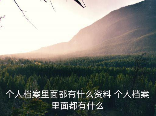 個人檔案里面都有什么資料 個人檔案里面都有什么