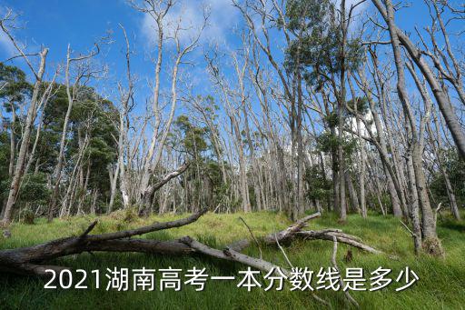 2021湖南高考一本分?jǐn)?shù)線是多少