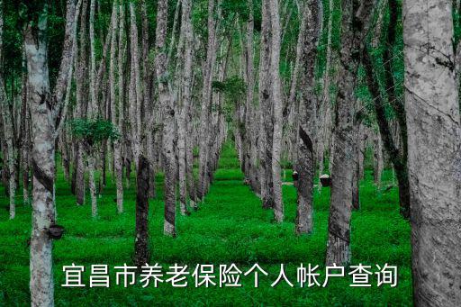 宜昌市養(yǎng)老保險個人帳戶查詢