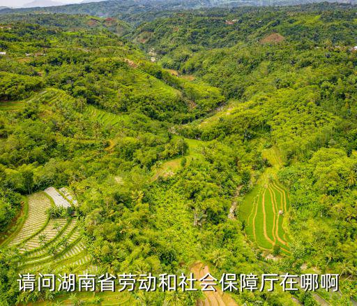 湖南人社廳，湖南省勞動社會保障廳具體位置
