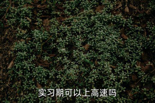 實(shí)習(xí)期可以上高速嗎