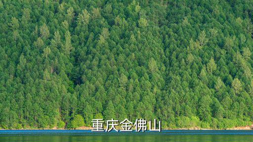 重慶金佛山，重慶金佛山有什么風景