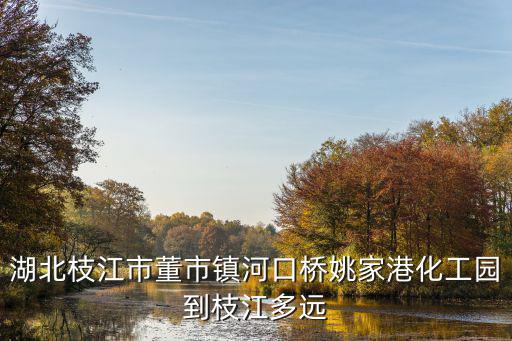 湖北枝江市董市鎮(zhèn)河口橋姚家港化工園到枝江多遠
