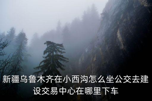 新疆烏魯木齊在小西溝怎么坐公交去建設(shè)交易中心在哪里下車