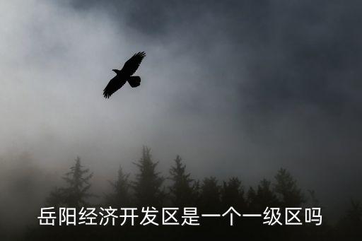 岳陽經濟開發區是一個一級區嗎