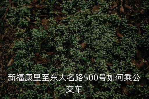 新福康里至東大名路500號(hào)如何乘公交車