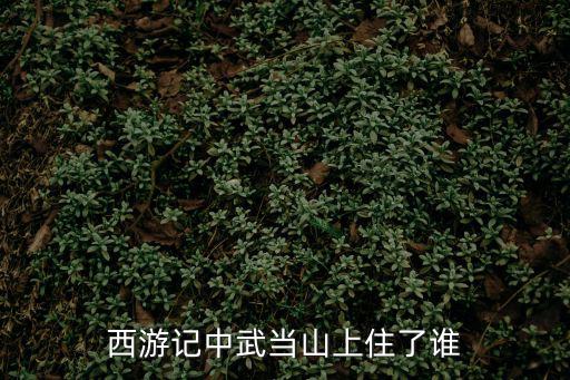 西游記中武當山上住了誰