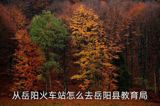 岳陽縣教育局，岳陽市教育局的地址