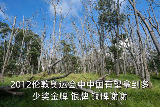 2012倫敦奧運會中中國有望拿到多少獎金牌 銀牌 銅牌謝謝