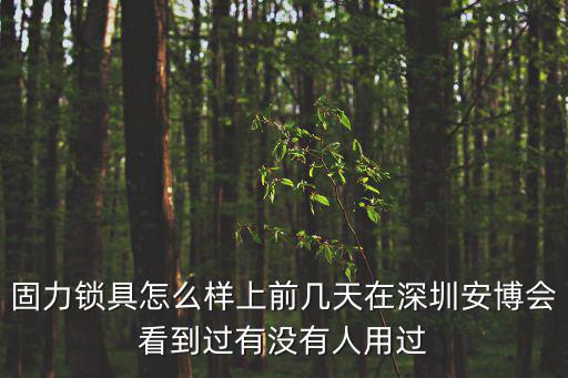 固力鎖具怎么樣上前幾天在深圳安博會看到過有沒有人用過