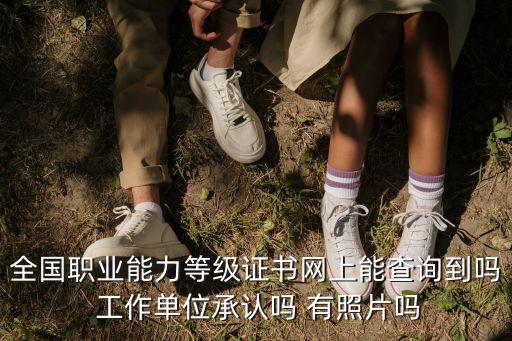 全國職業能力等級證書網上能查詢到嗎 工作單位承認嗎 有照片嗎