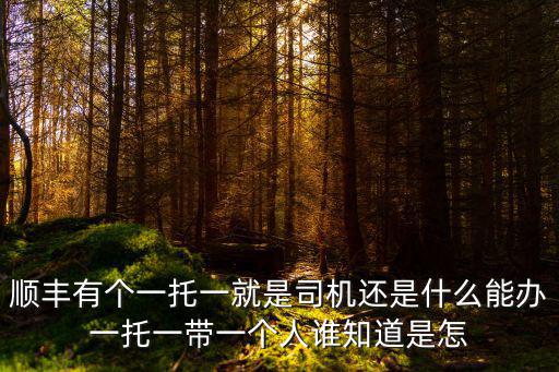 一盔一帶，順豐有個一托一就是司機還是什么能辦一托一帶一個人誰知道是怎