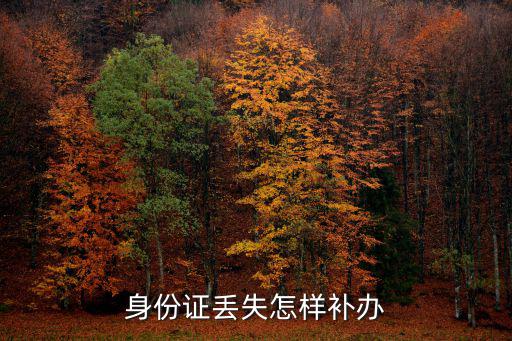身份證丟失怎樣補辦