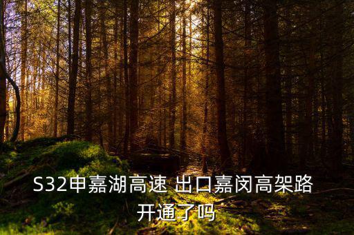 嘉閔線最新消息，哪位大俠知道上海嘉閔線與11號線交匯點是南翔站還是陳翔站