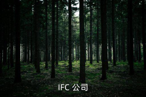上海ifc，IFC 公司