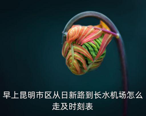 機(jī)場航班時(shí)刻表，首都機(jī)場國際航班時(shí)刻表
