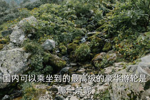 國內(nèi)可以乘坐到的最高級(jí)的豪華游輪是哪一條呢