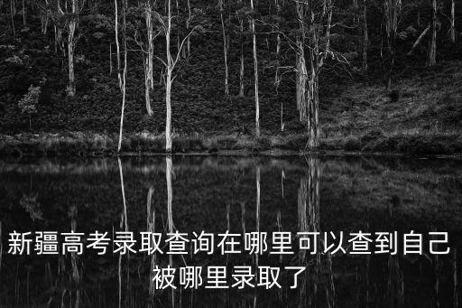 新疆高考錄取查詢，新疆高考錄取結果在哪查